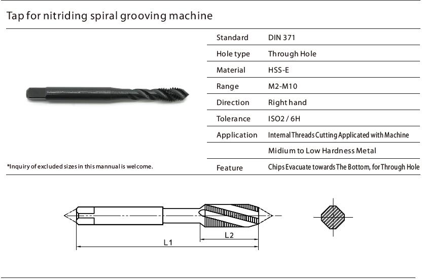 Germany Standard DIN371 DIN376 Spiral Flute Machine Tap